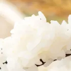 国産